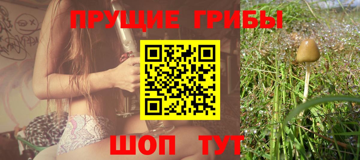 Прокопьевск  Галлюциногенные грибы GOLDEN TEACHER  Вход с VPN 
