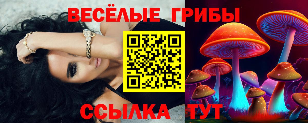 Галлюциногенные грибы Cubensis Прокопьевск